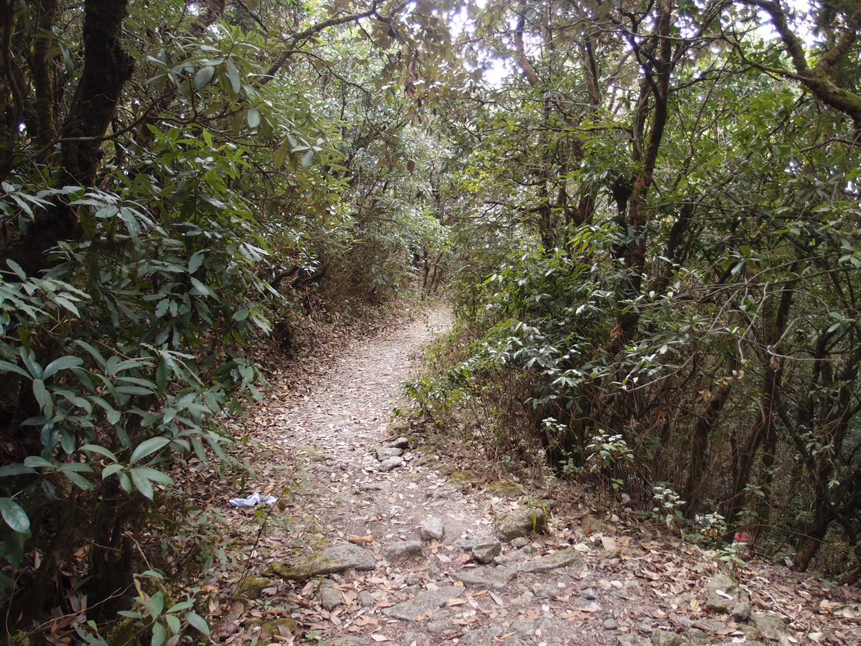 2018-01-16 12 Uhr - Im Shivapuri Nagarjun National Park (Nagi Gumba) (Foto) 